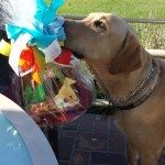 Journey and his present
