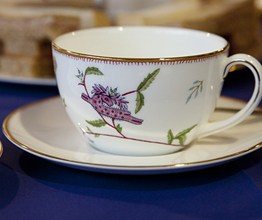 Tea cup